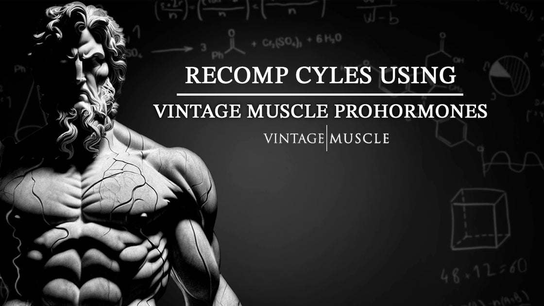 Cycles using Vintage Muscle ProHormones 2024