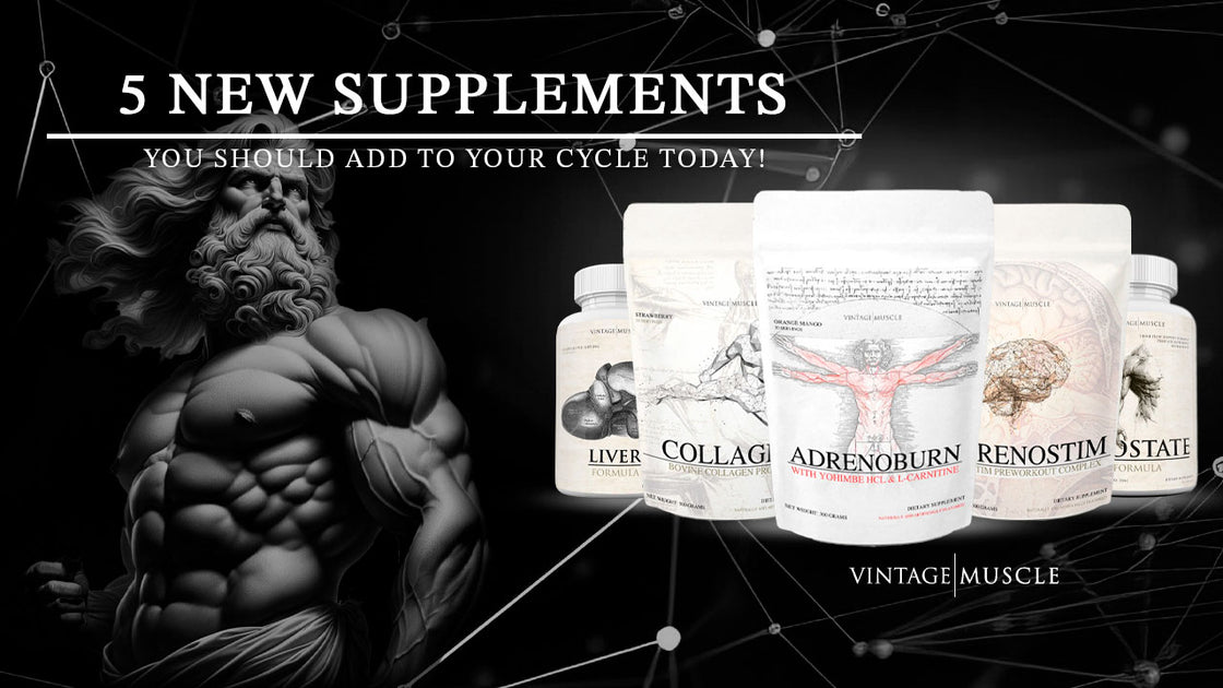 5 New Supplements You Should Add to Your Cycle Today! Vintage Muscle