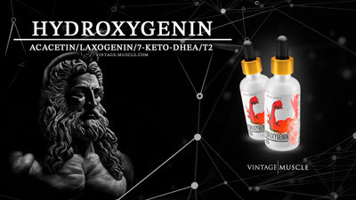Fat-Loss Hormonal Agent: Hydroxygenin by Vintage Muscle