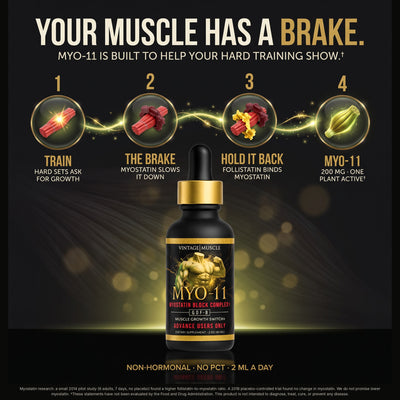 Myostatin Inhibitor Muscle Builder - MYO-11