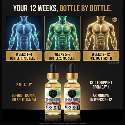 Old School Muscle & Strength, Joint Friendly - 19-Nandro