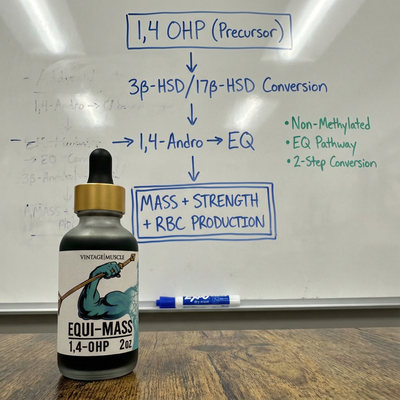 Hardgainer, Recovery, Mass Builder Blend - Equi-Mass™