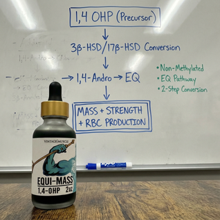 Hardgainer, Recovery, Mass Builder Blend - Equi-Mass™