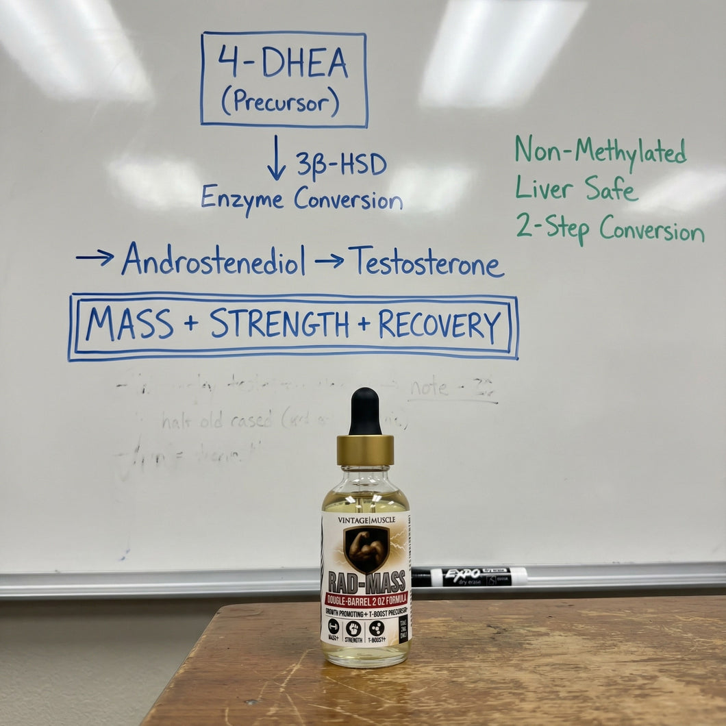 4-DHEA to testosterone conversion pathway diagram