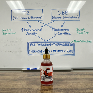 Hormonal Fat Burner, Muscle Preserving - Hydroxygenin™