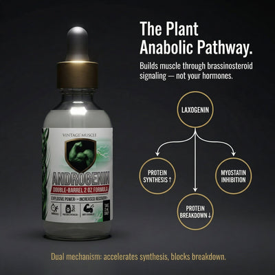 Plant Anabolic Activator, Protein Synthesis Accelerator - Androgenin™
