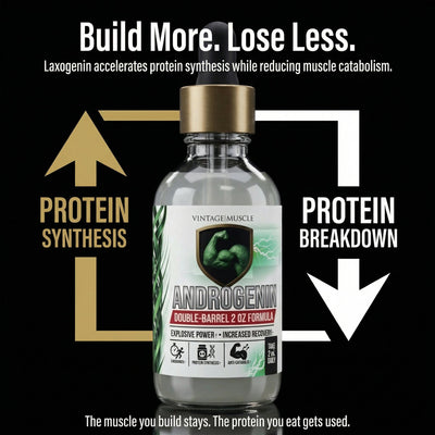 Plant Anabolic Activator, Protein Synthesis Accelerator - Androgenin™