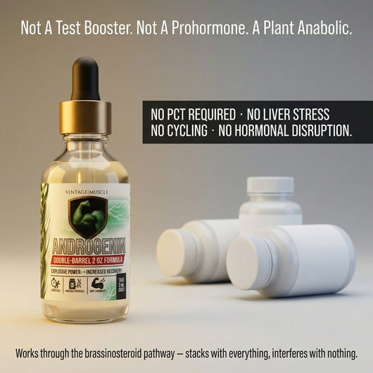 Plant Anabolic Activator, Protein Synthesis Accelerator - Androgenin™