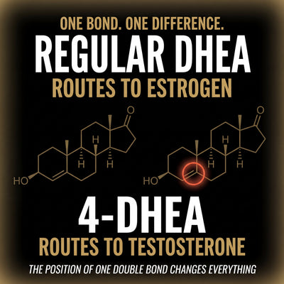 Testosterone Precursor - RAD-Mass