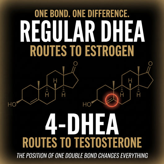 Testosterone Precursor - RAD-Mass