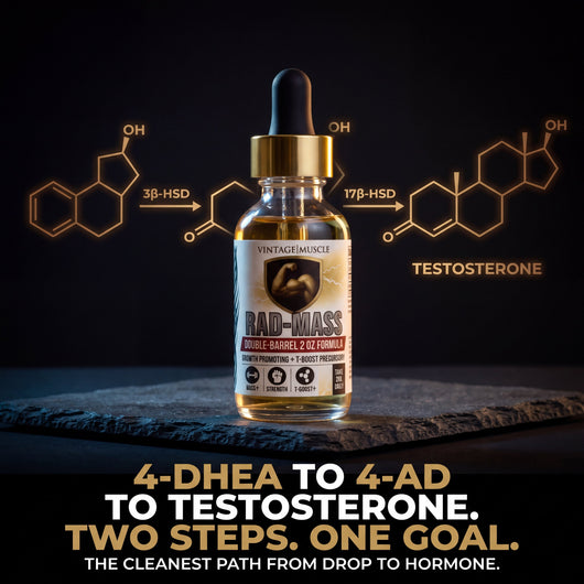 Testosterone Precursor - RAD-Mass