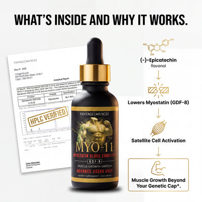 Myostatin Inhibitor Muscle Builder - MYO-11