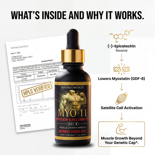 Myostatin Inhibitor Muscle Builder - MYO-11